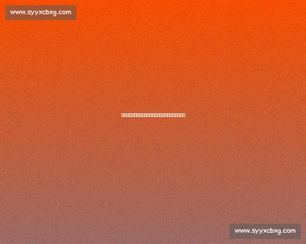 阿莱格里亲定莱奥为米兰新核：战术特权与领袖责任并重